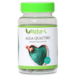 Alga Quattro