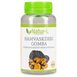 Hamvaskéreg-gomba