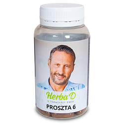 Proszta 6