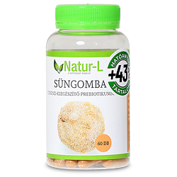 Süngomba