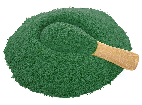 Chlorella alga kivonata