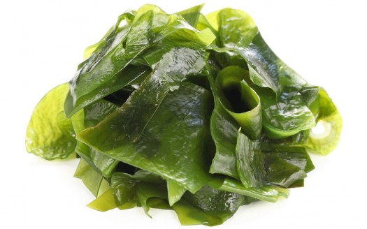 Kombu alga kivonata