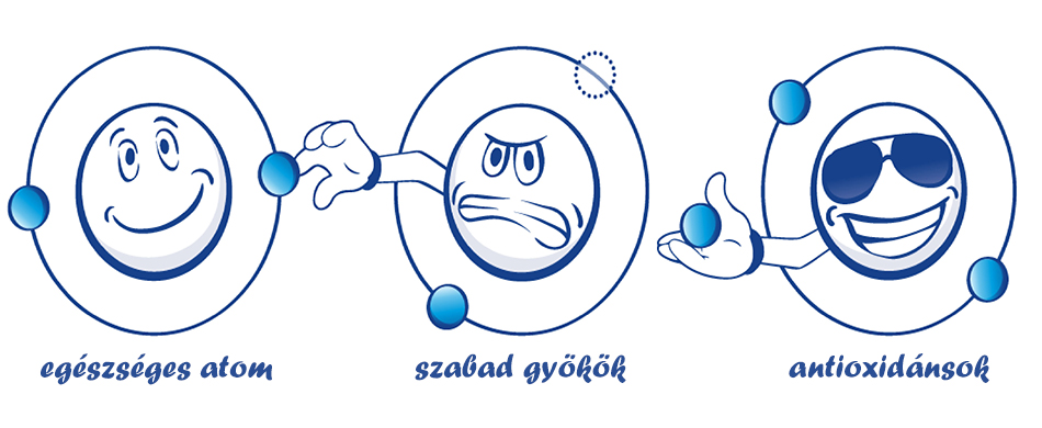 A szabad gyökök