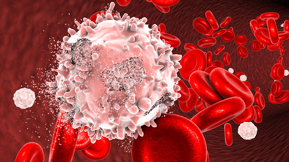 immunrendszer
