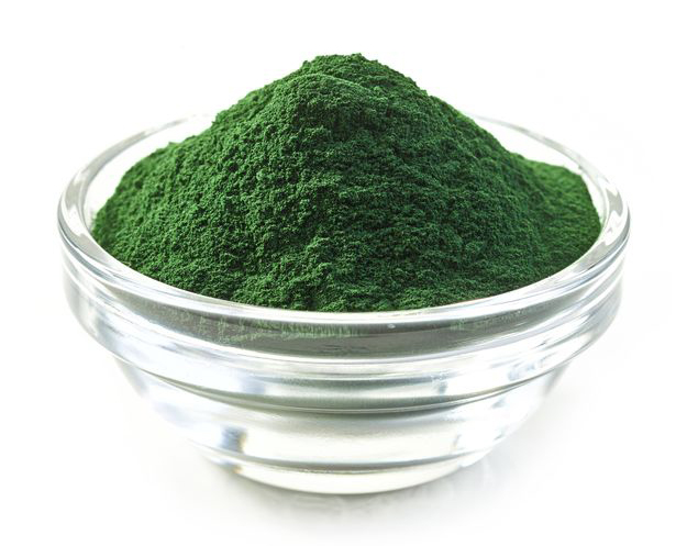 Alga
