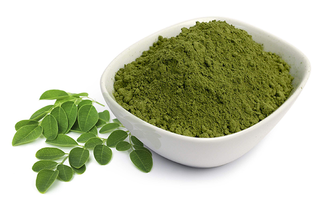 Moringa oleifera